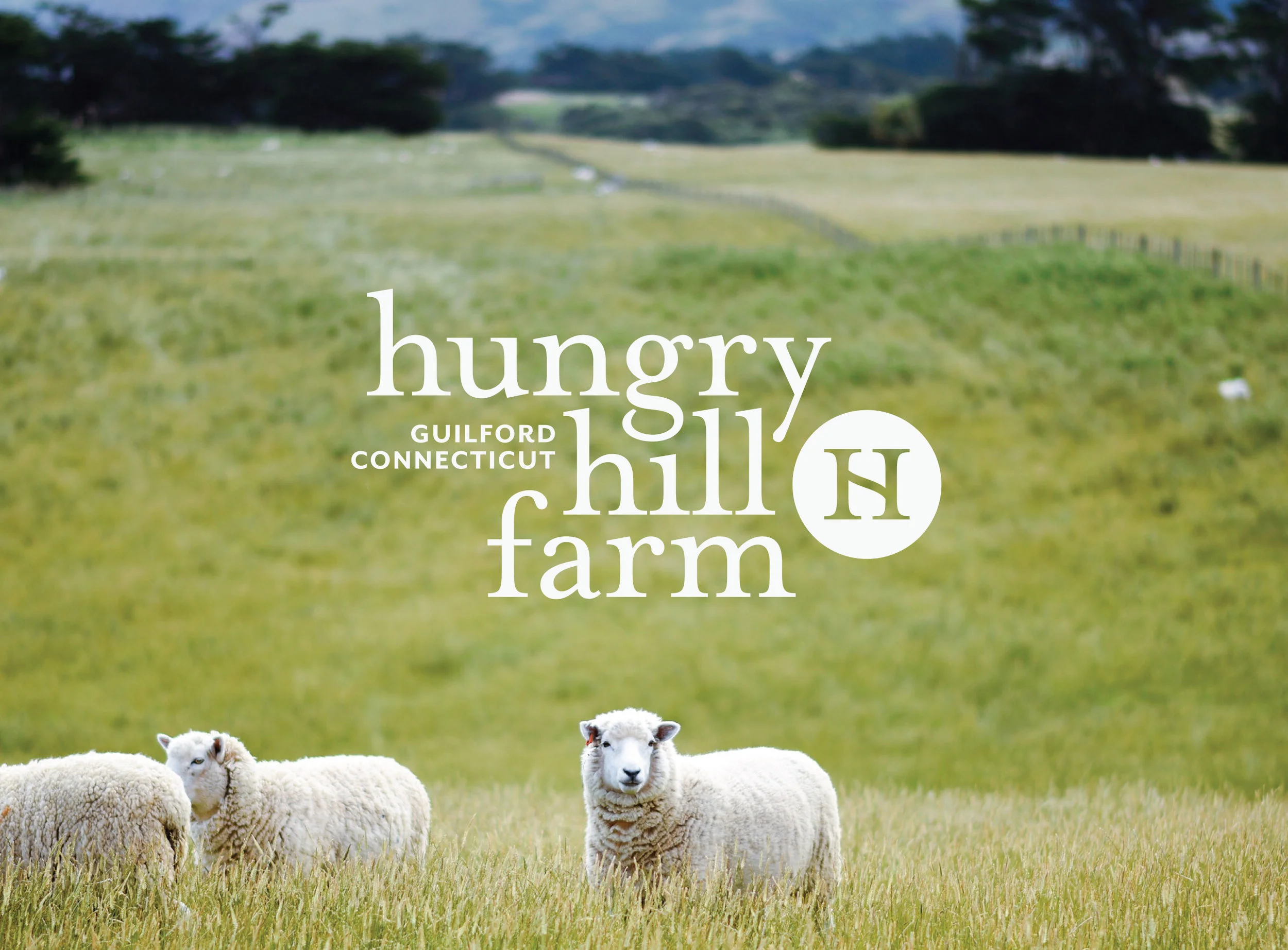 Hungry Hill Farm Branding