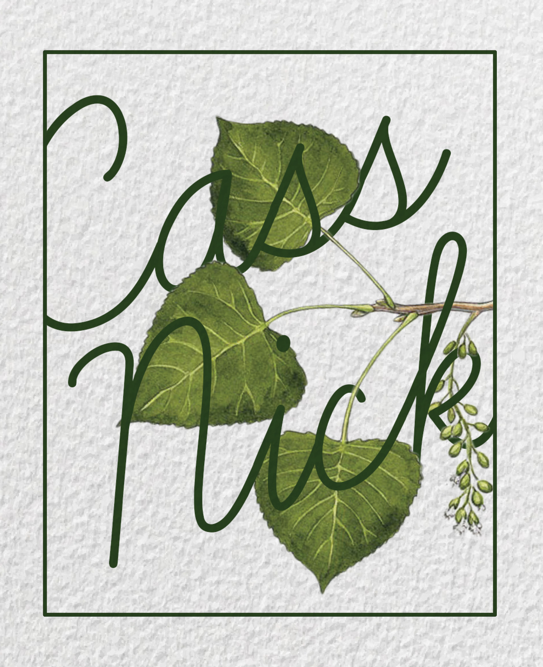 Cass & Nick Wedding Brochure