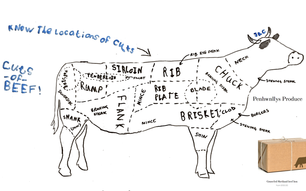 Beef Cuts Guide Llais Aderyn