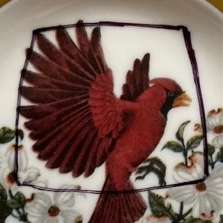 cardinal.jpeg