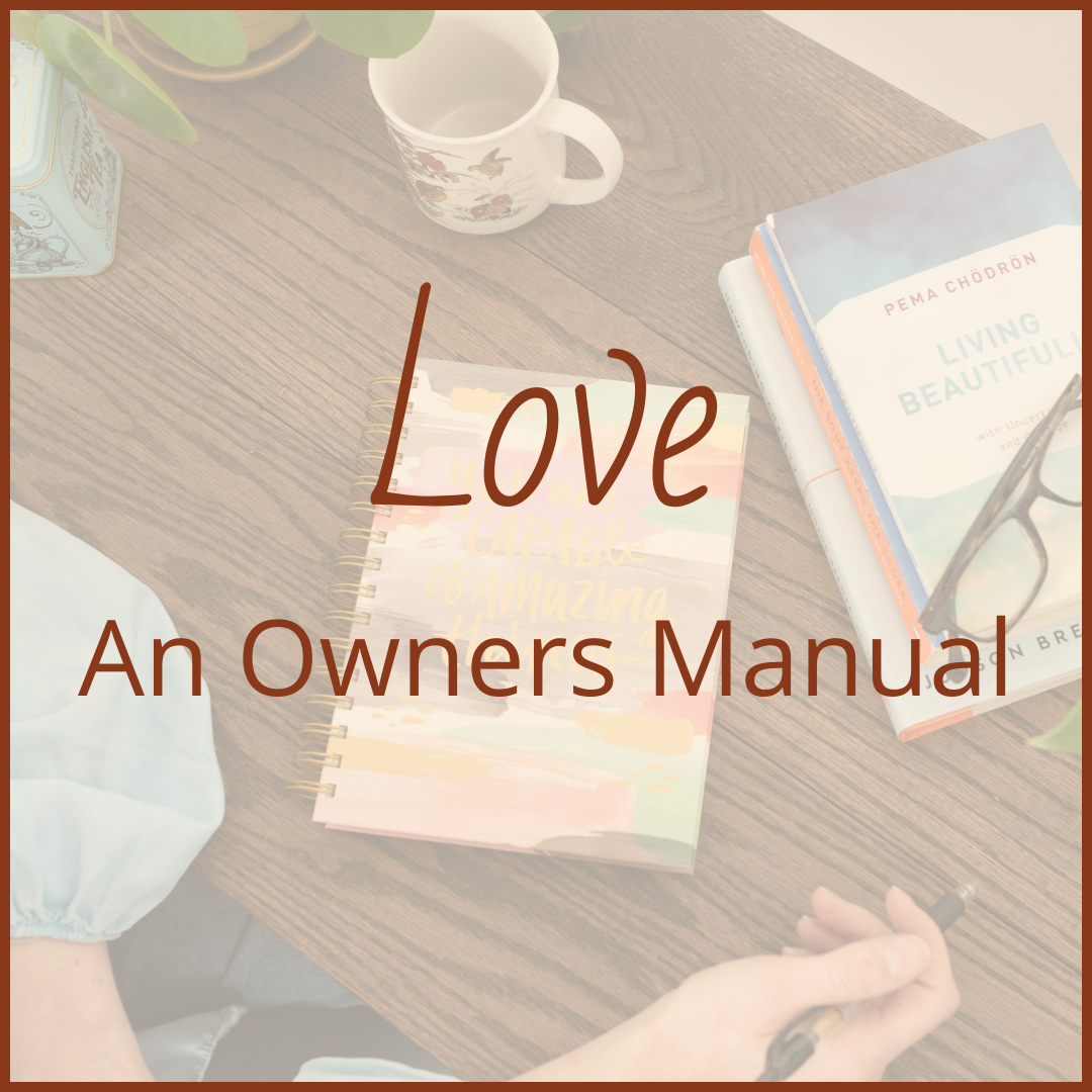Love: An Owner's Manual