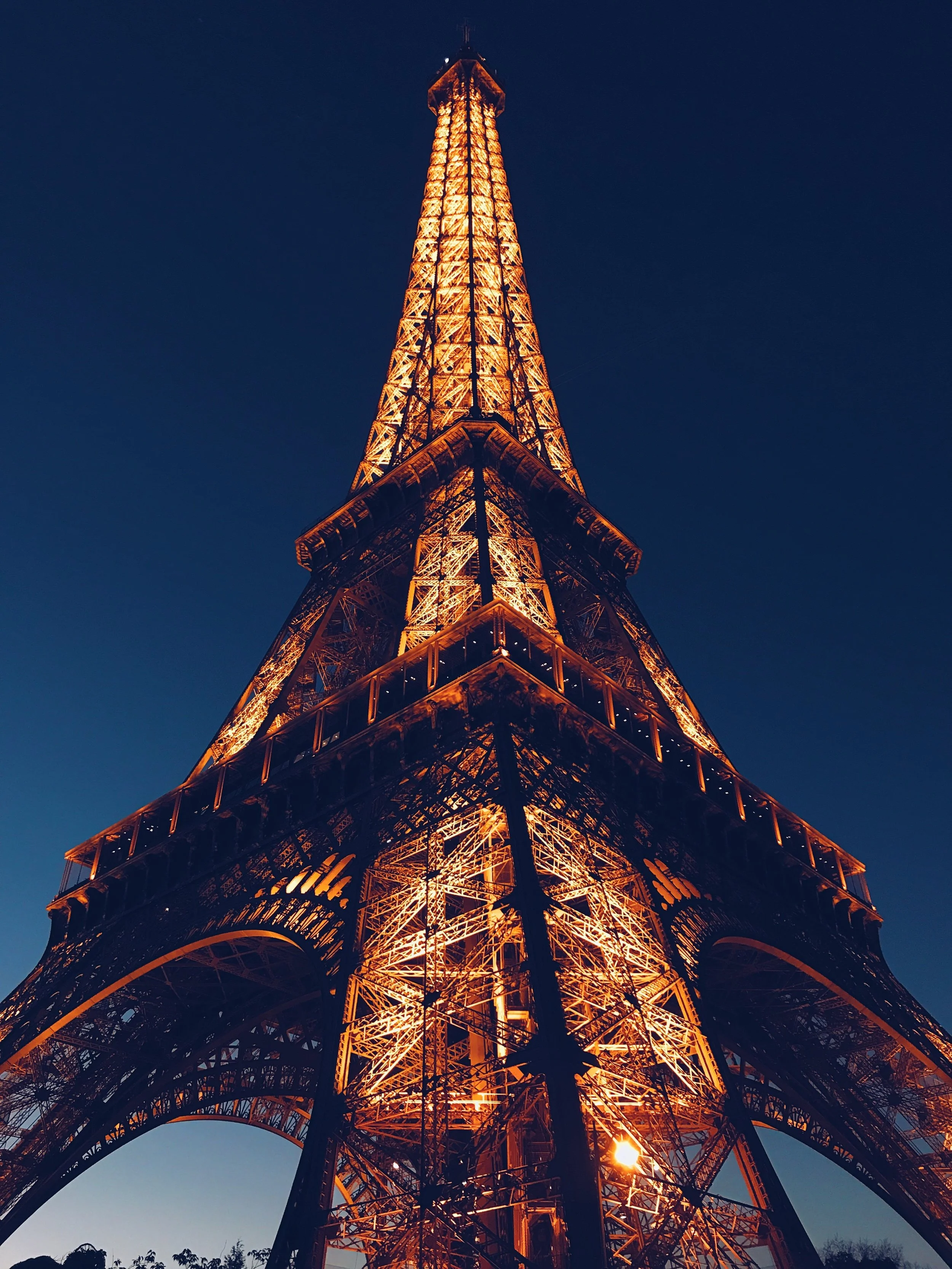 Complete Homeschool French Curriculum Round-Up 