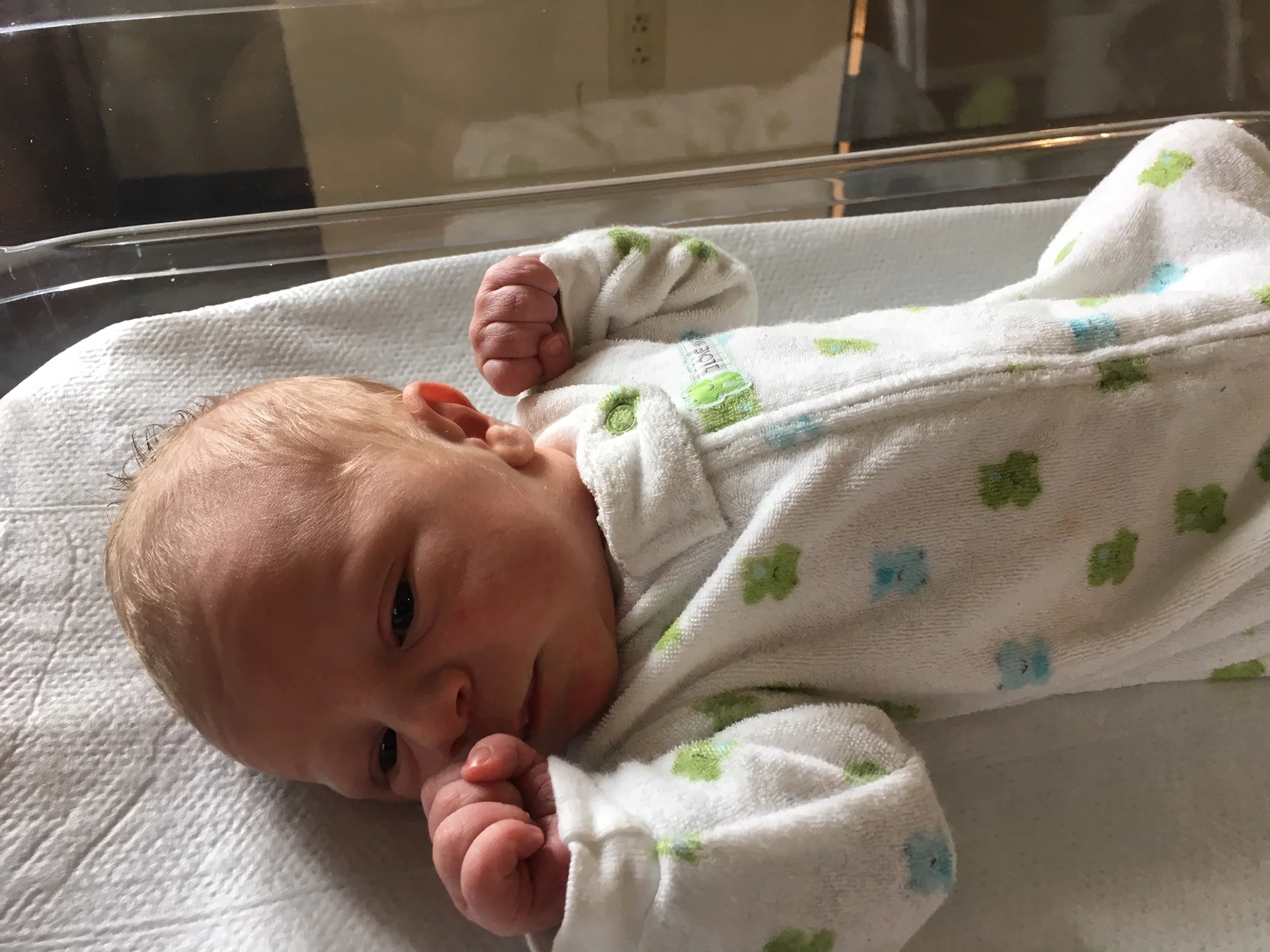 Announcing...the Newest Member of the Language Learning At Home Community!