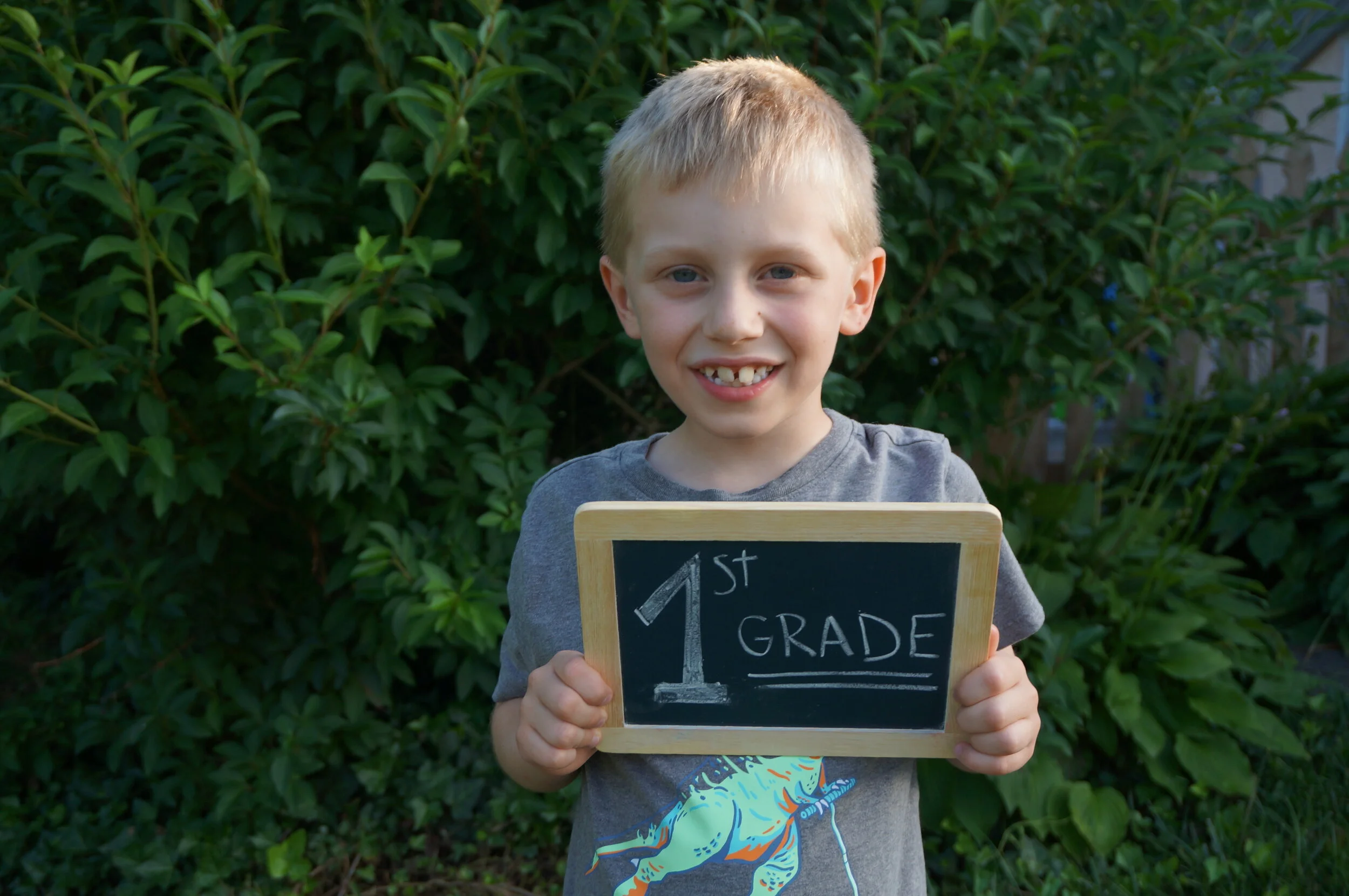 Our Bilingual (Spanish/English) Homeschool Curriculum for 2020-2021 