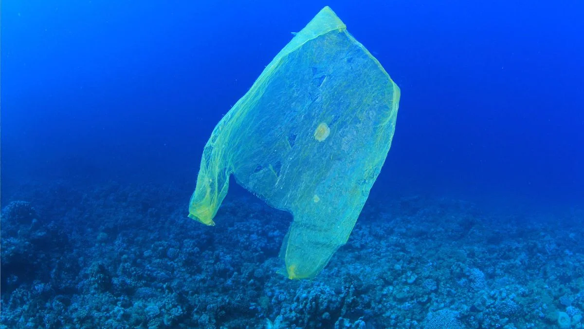 Plastic (not) fantastic. The Ocean Plastic Pollution Problem
