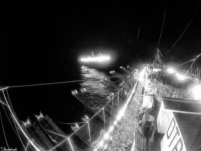 Double fishing of two jiggers maximising fishing effort