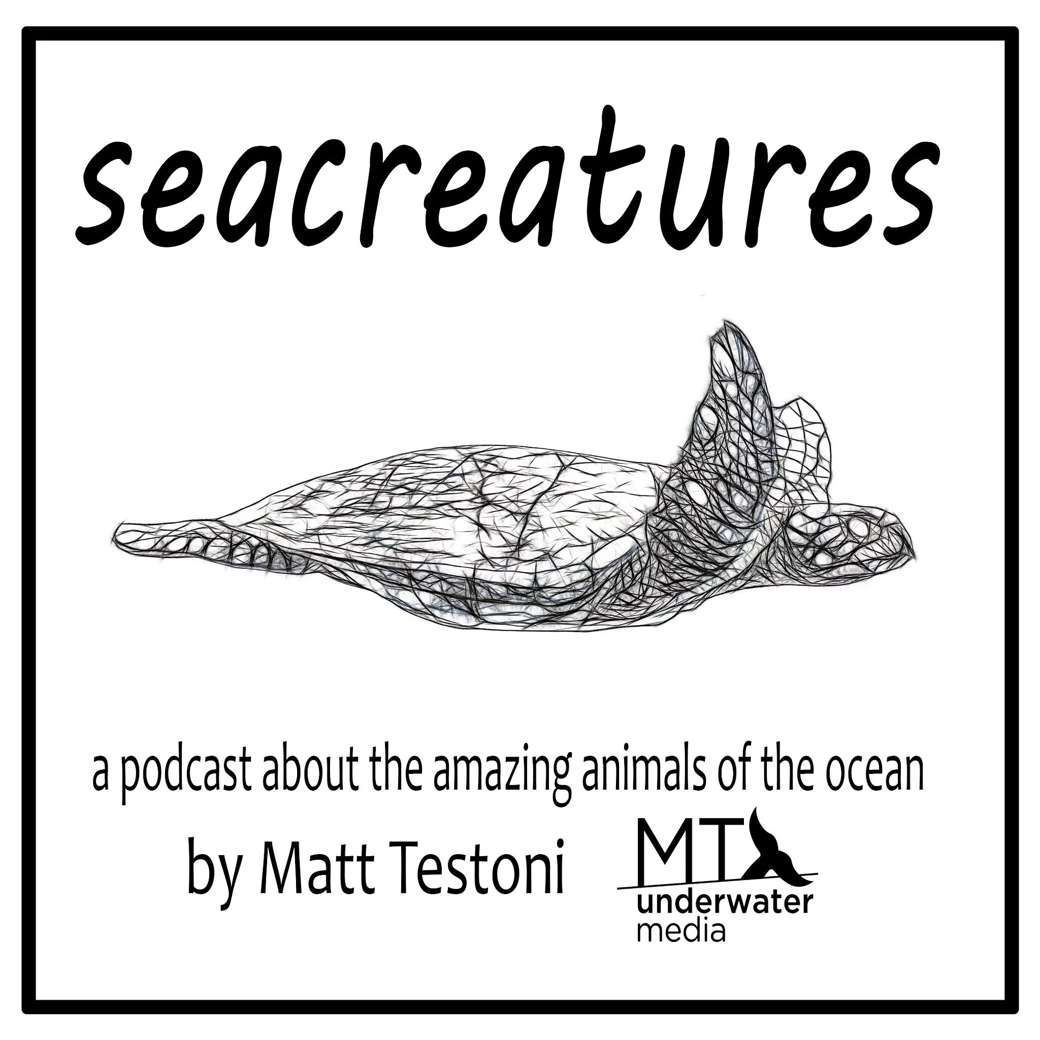 Seacreatures