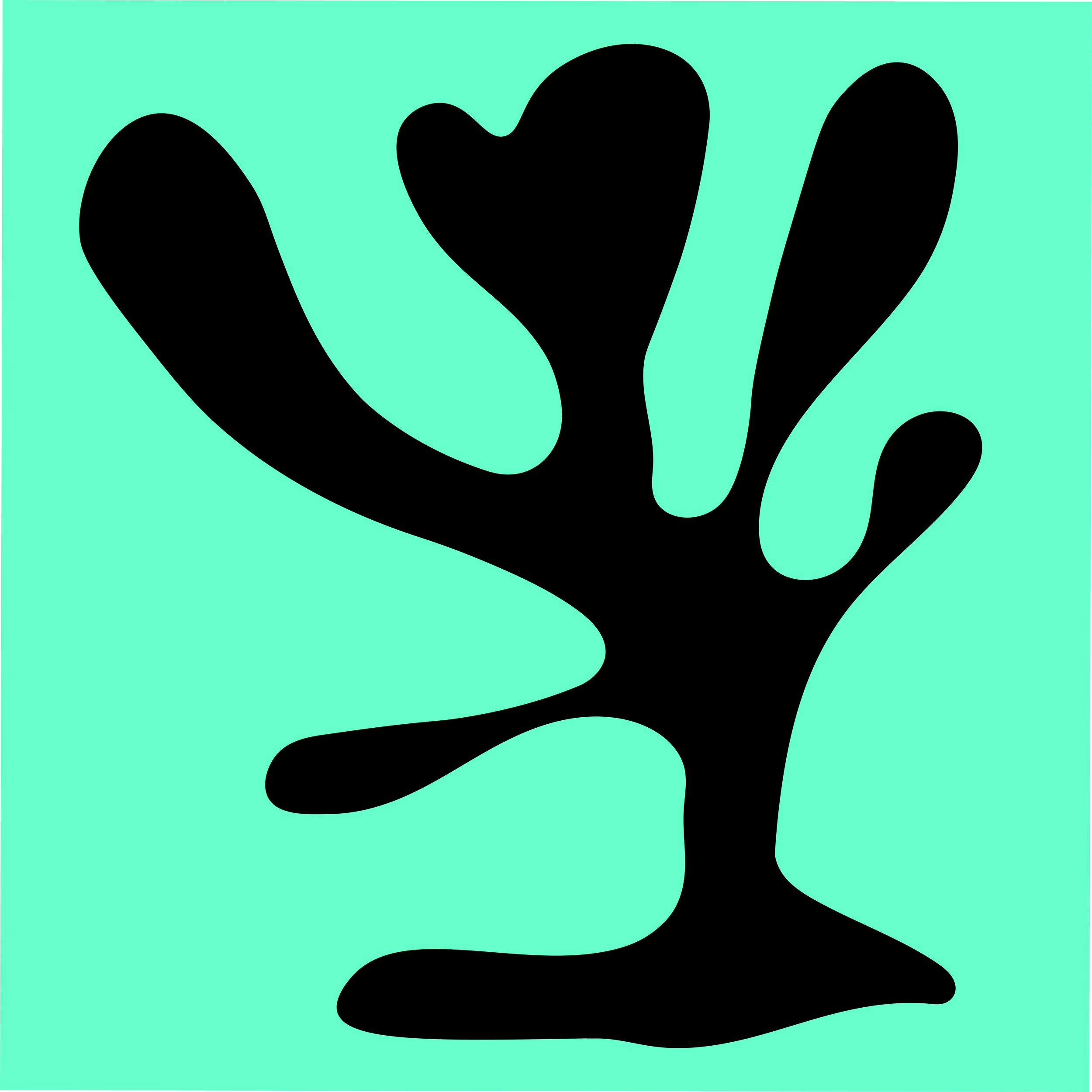 MARE Foundation