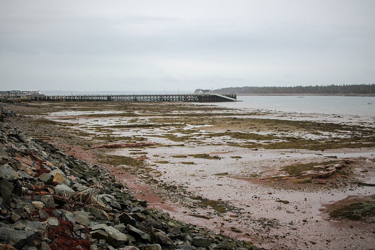 Low Tide at St Andrews