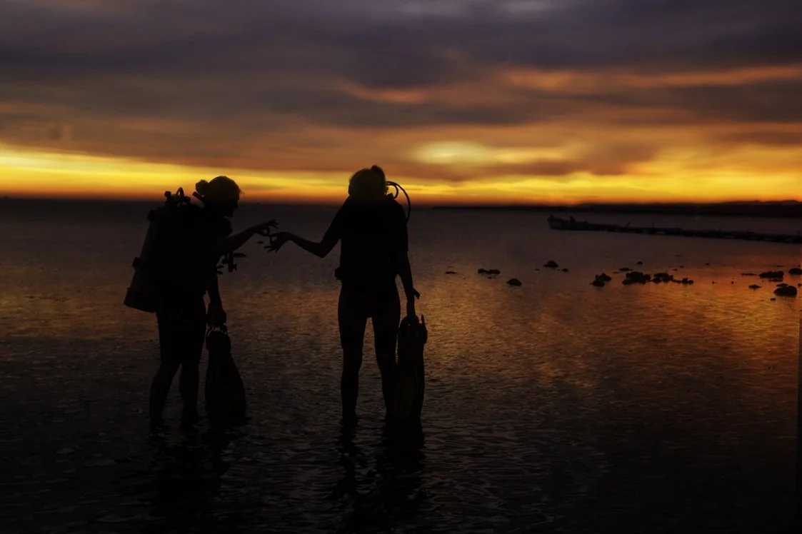 Divers standing on land with an orange sky