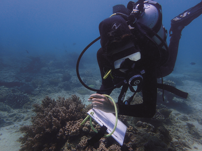 Diver underwater making notes