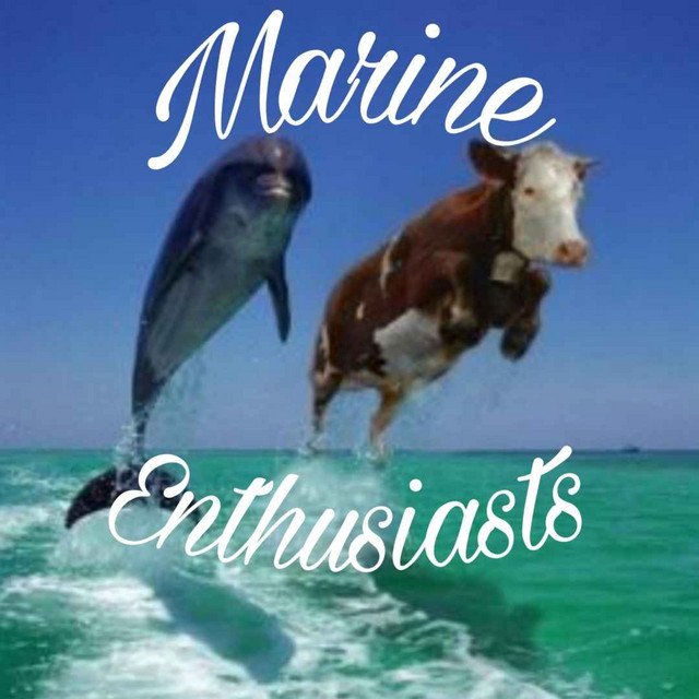 Marine Enthusiasts