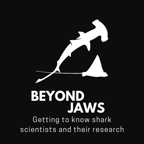 Beyond Jaws
