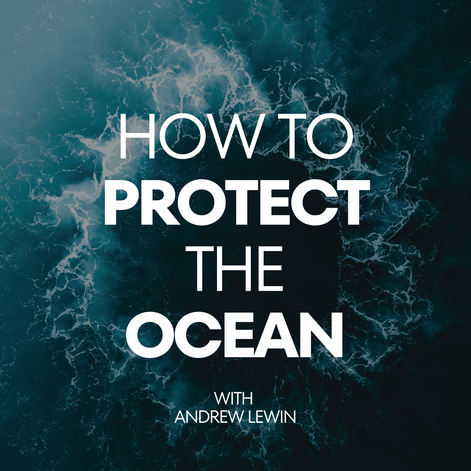 How to Protect the Ocean