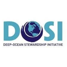 DOSI Logo