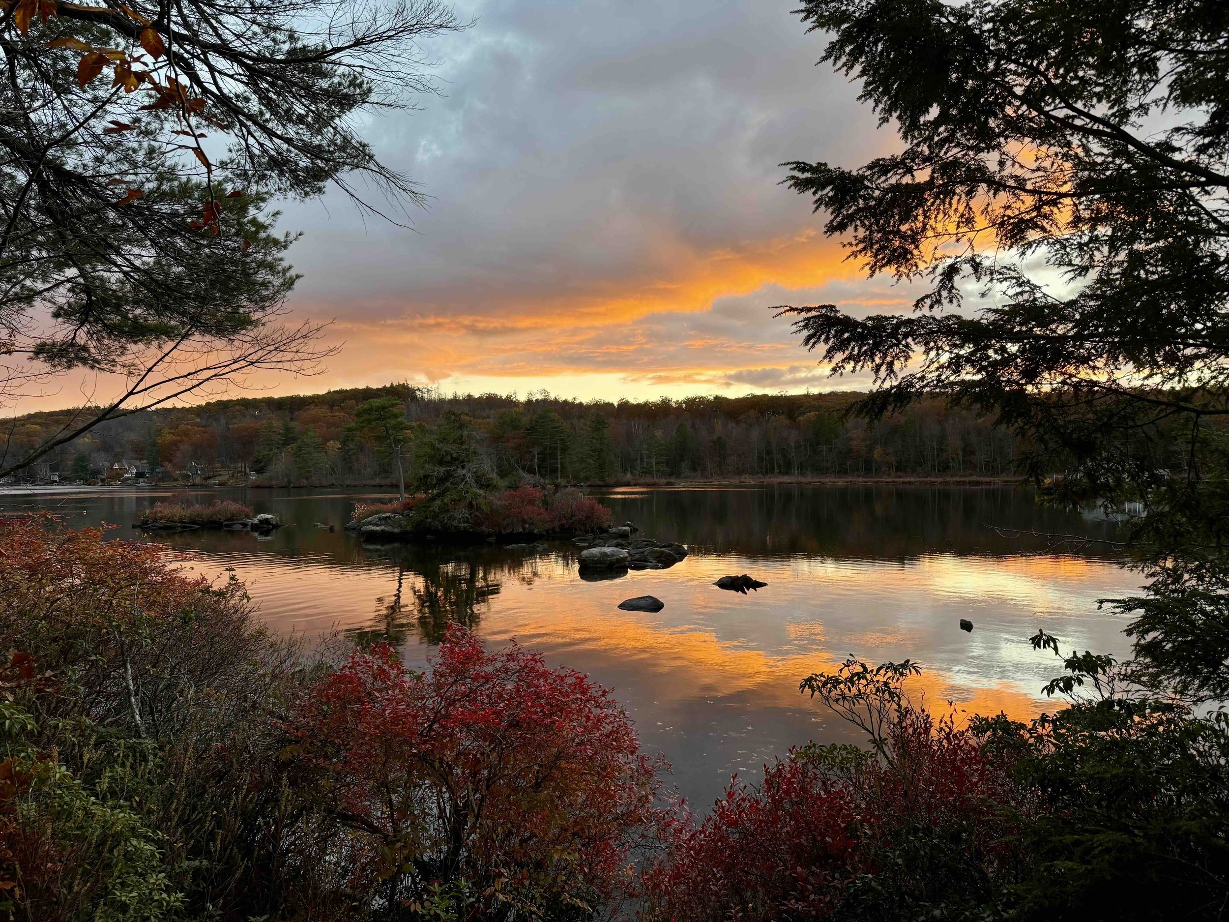 November 2025 Newsletter: The Gift of Awareness—Coming Home to Yourself for the Holidays