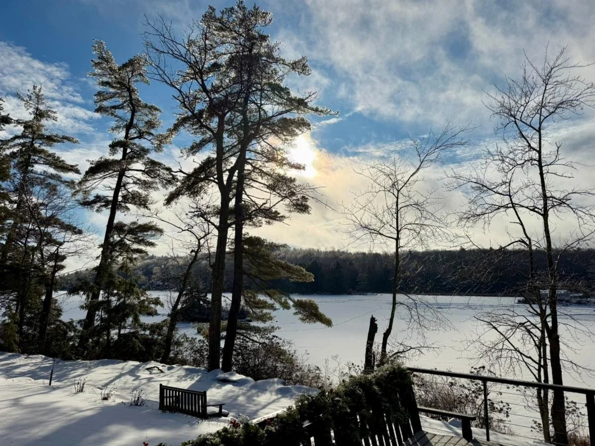 January 2026 Newsletter: Slowing Down In A Fast World