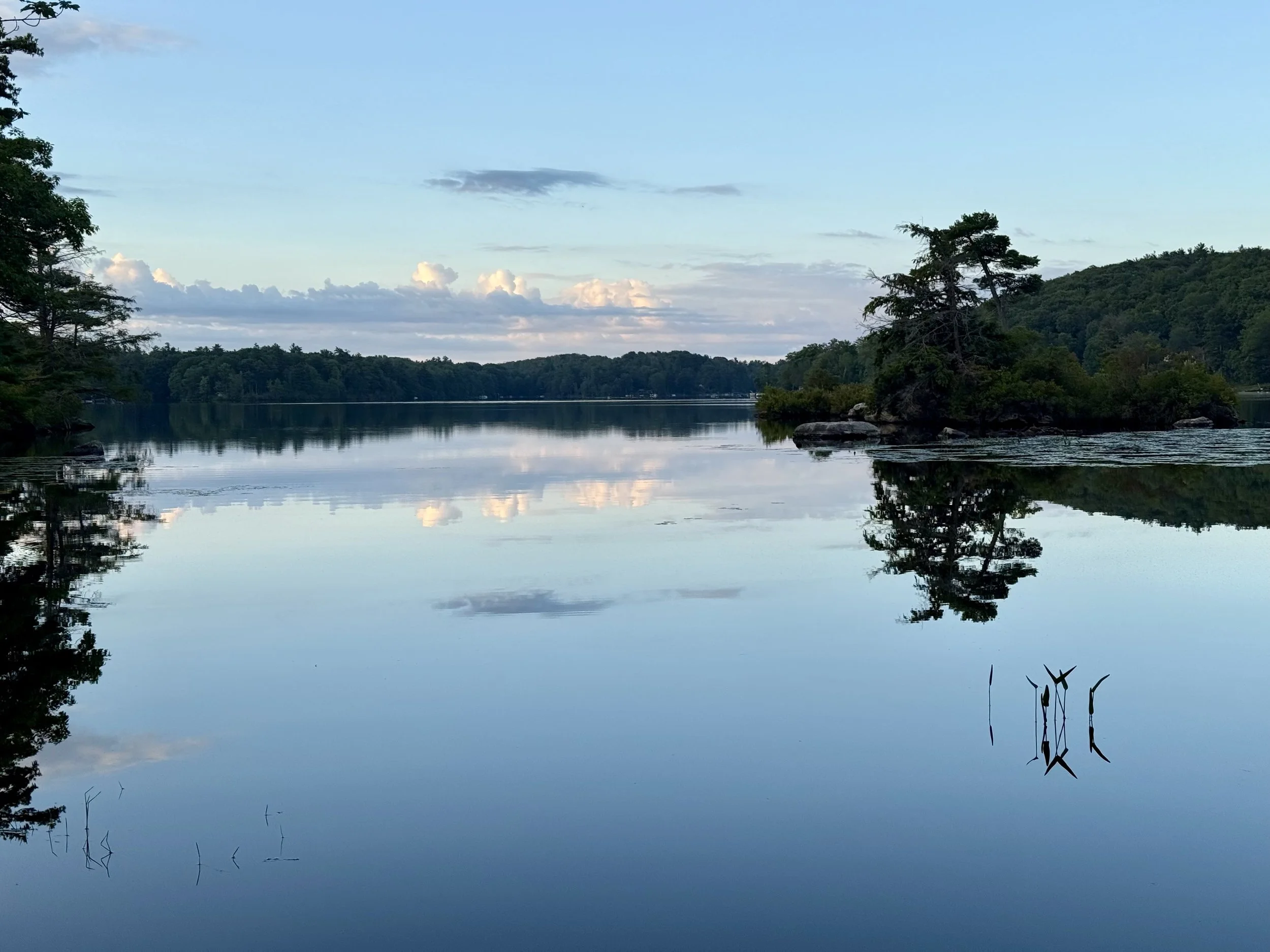 Come As You Are: MBCT and Your Relationship with Perfectionism