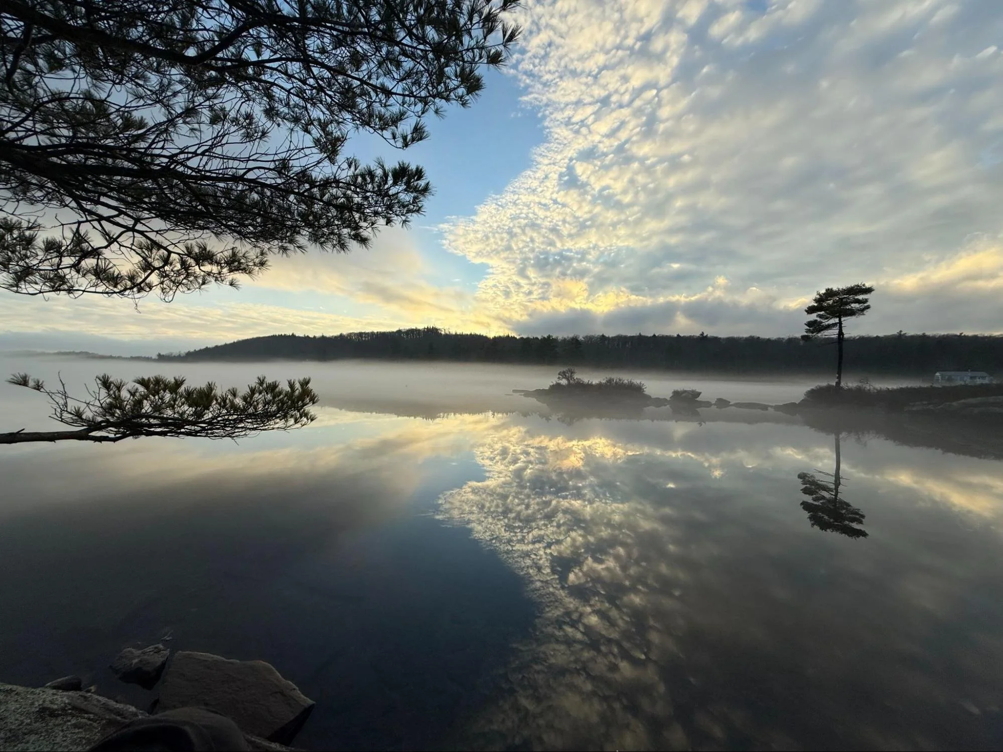 About Dr Karen Walant