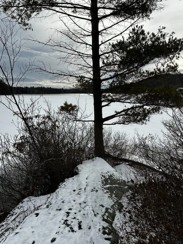 Strengthening Presence and Awareness as the Year Begins