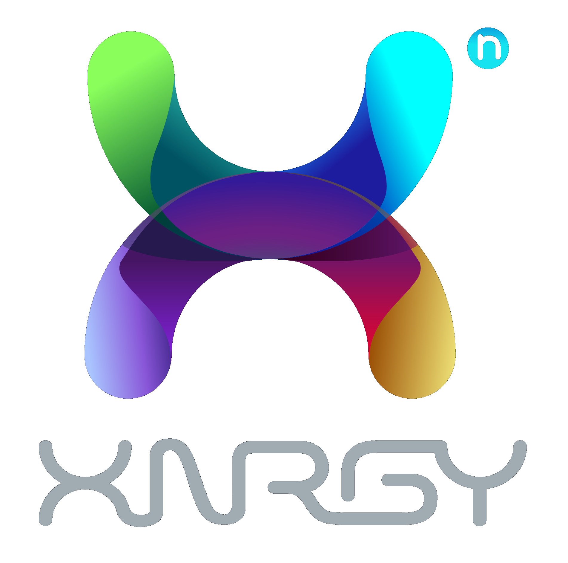 XNRGY Logo Color on White.png