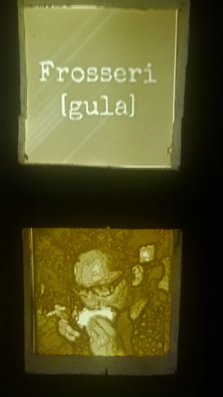 lithopane.jpg