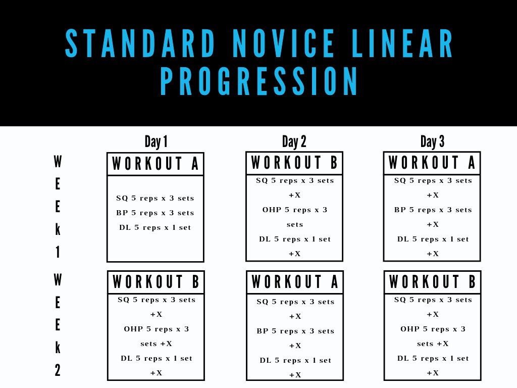 Starting Strength Template