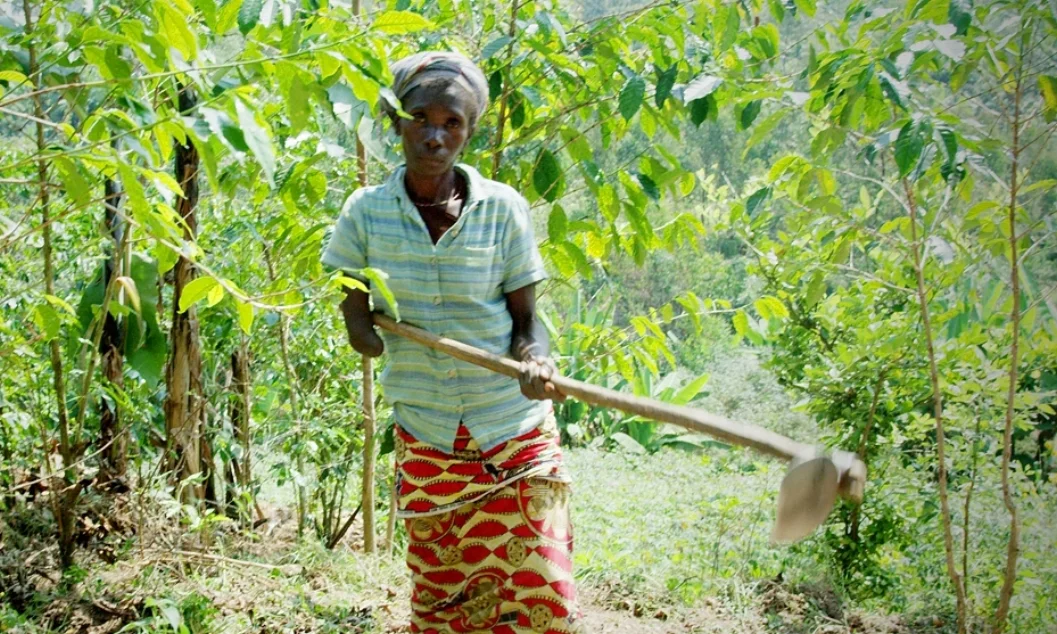 Cifa, a 38-year-old coffee producer and ERW survivor, has a below elbow amputation on her right arm. She is married with three children who all work on the farm because she does not have enough money to pay for their education.