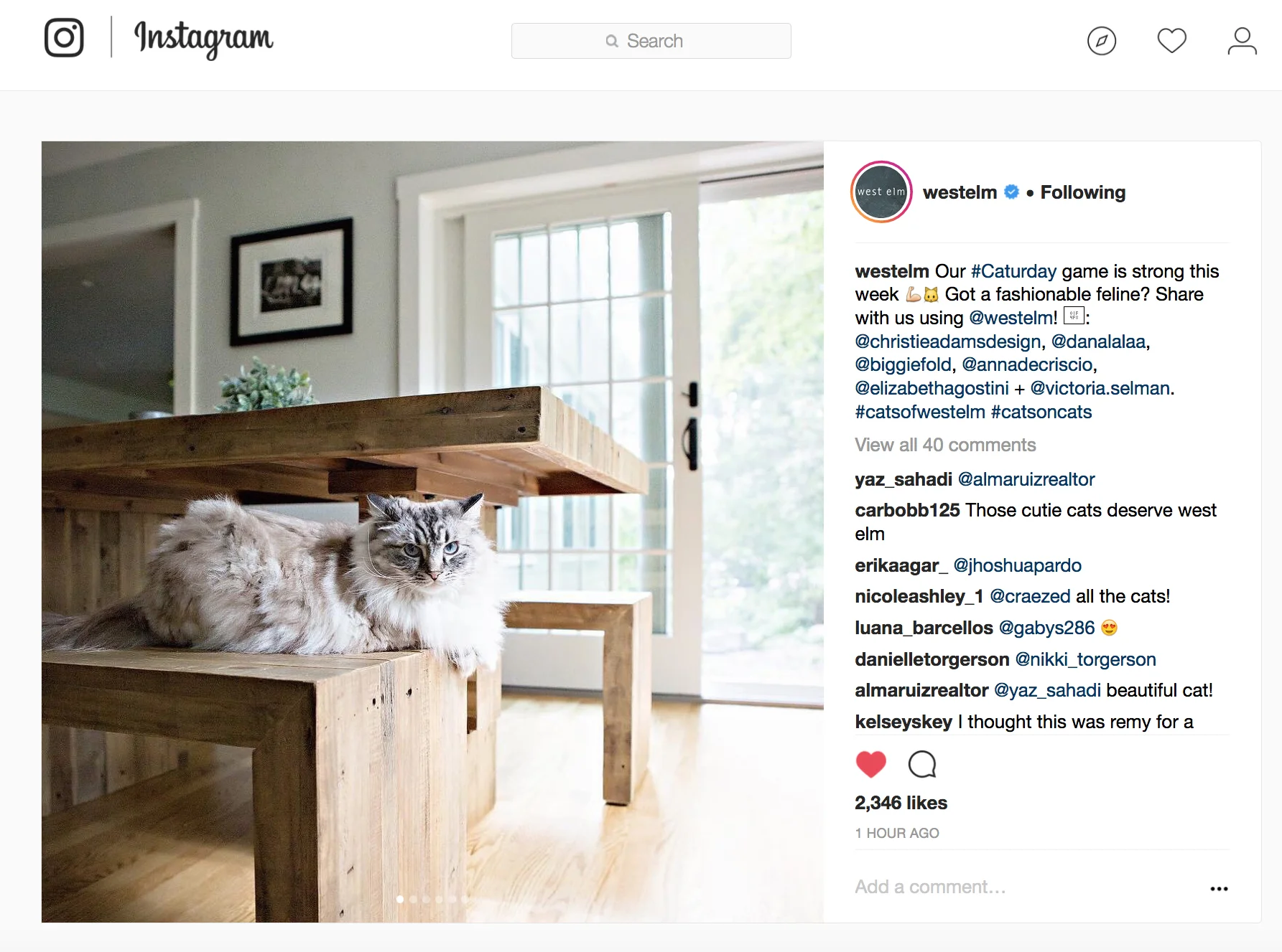 westelm.jpg