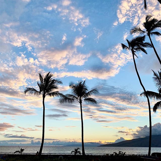 I know this #maui photo will mess up my grid of pretty interior design pictures but I can’t not share where we’ve been spending the last few days. We have explored so much already and can’t wait to see more. This morning we saw turtles swimming right at our hotel beach. Yesterday on the road to Hana we went inside of caves, had a waterfall all to ourselves and saw incredible beaches. I promise to get back to posting pretty houses soon 😄
#passionfortravel #mauisunset