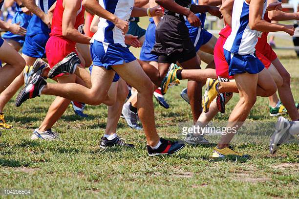 Bleckley County, GMC back to defend XC titles, among more than two dozen area teams at state meet