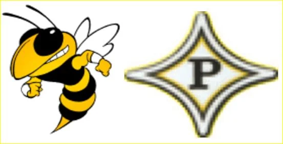 Offensive struggles, controversial call doom Peach County in defensive title game (box added)