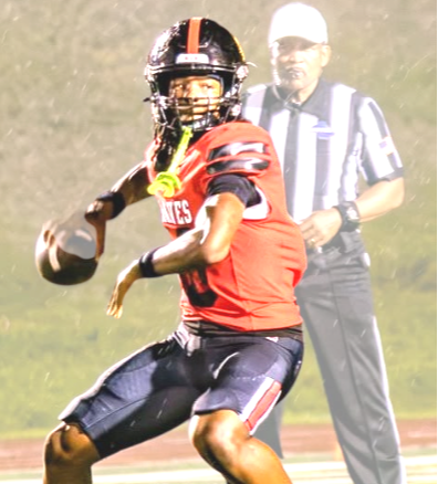 HS football notebook: A look at some polls; Houston County's big O; who ranks where in state stats?