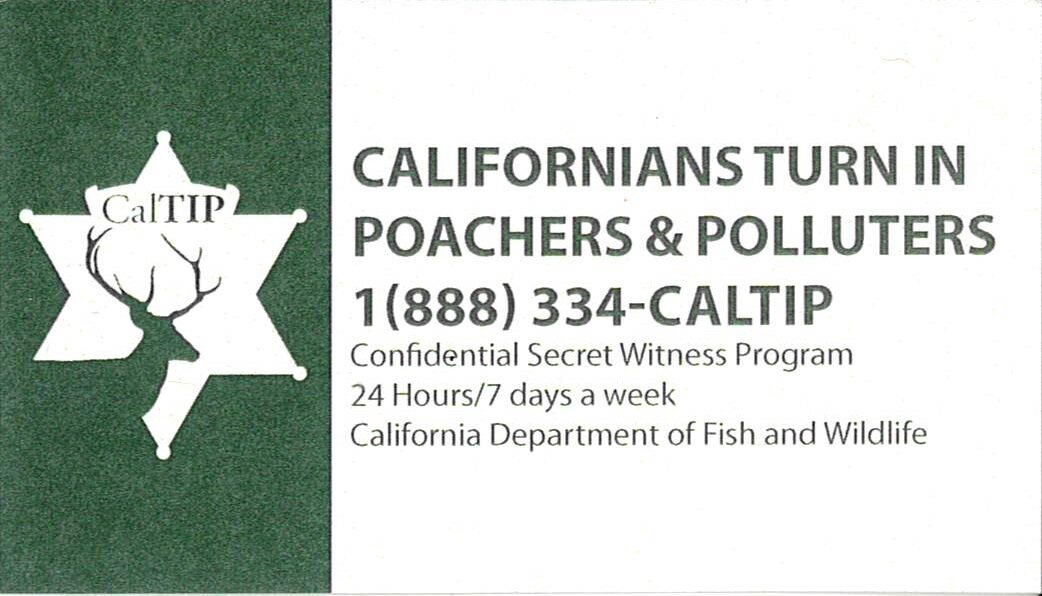 Report Poachers