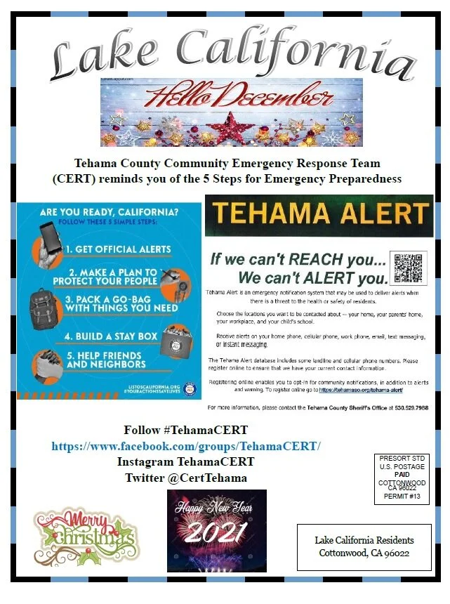 December 2020 Newsletter