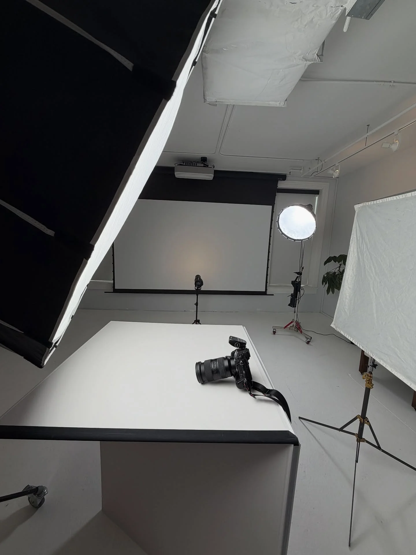 Evening photoshoot rental. #eodstudiodc

#dcphotostudio
#dcstudio
#washingtondc 
#dcphotographer
#dcevents
#dcstyle