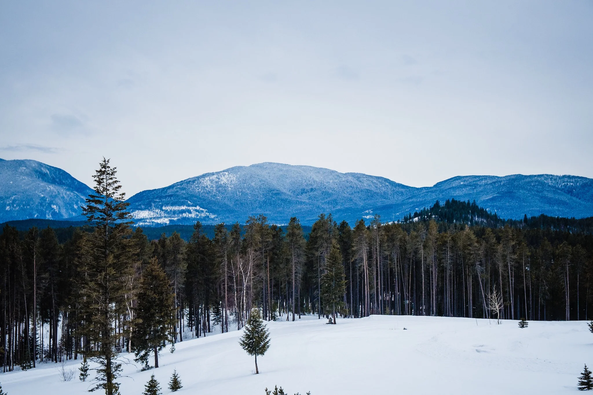 WestGlacierNordic_LindsayJanePhotography.jpg