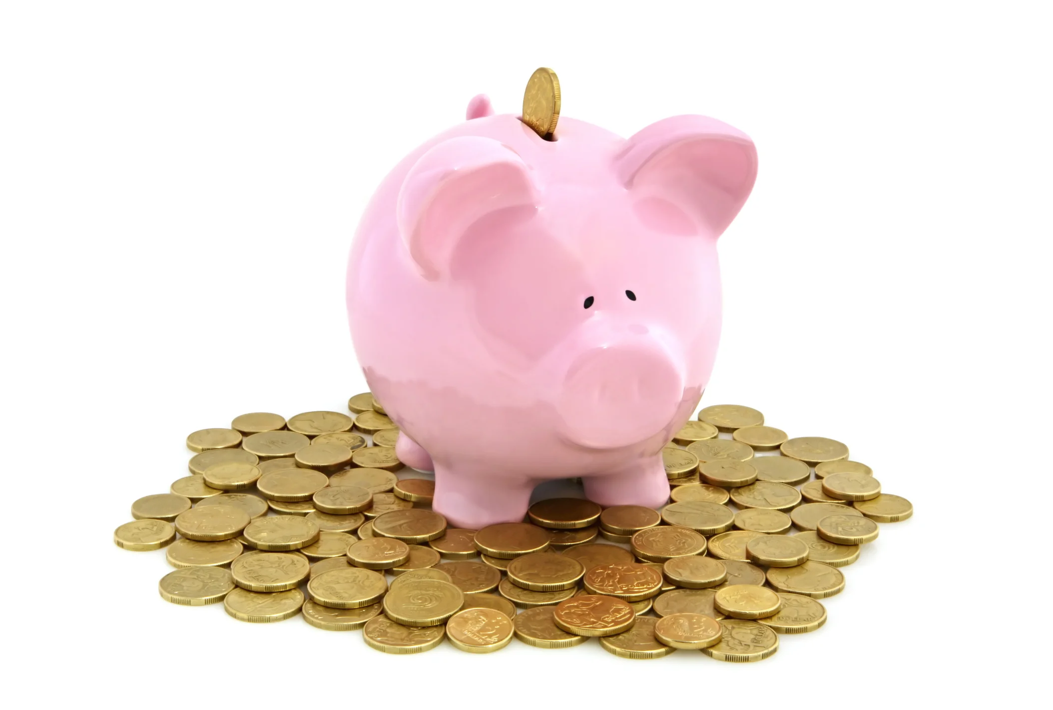 Piggy Bank with money