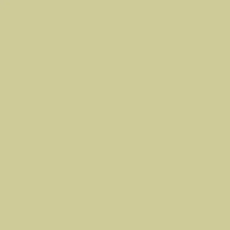 Terra Clay