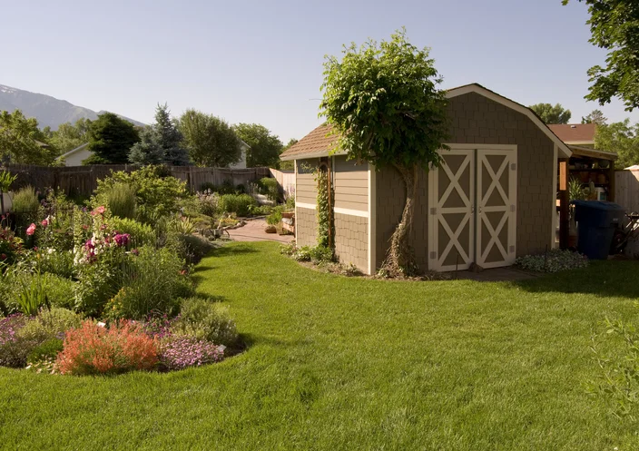 Backyard Shed
