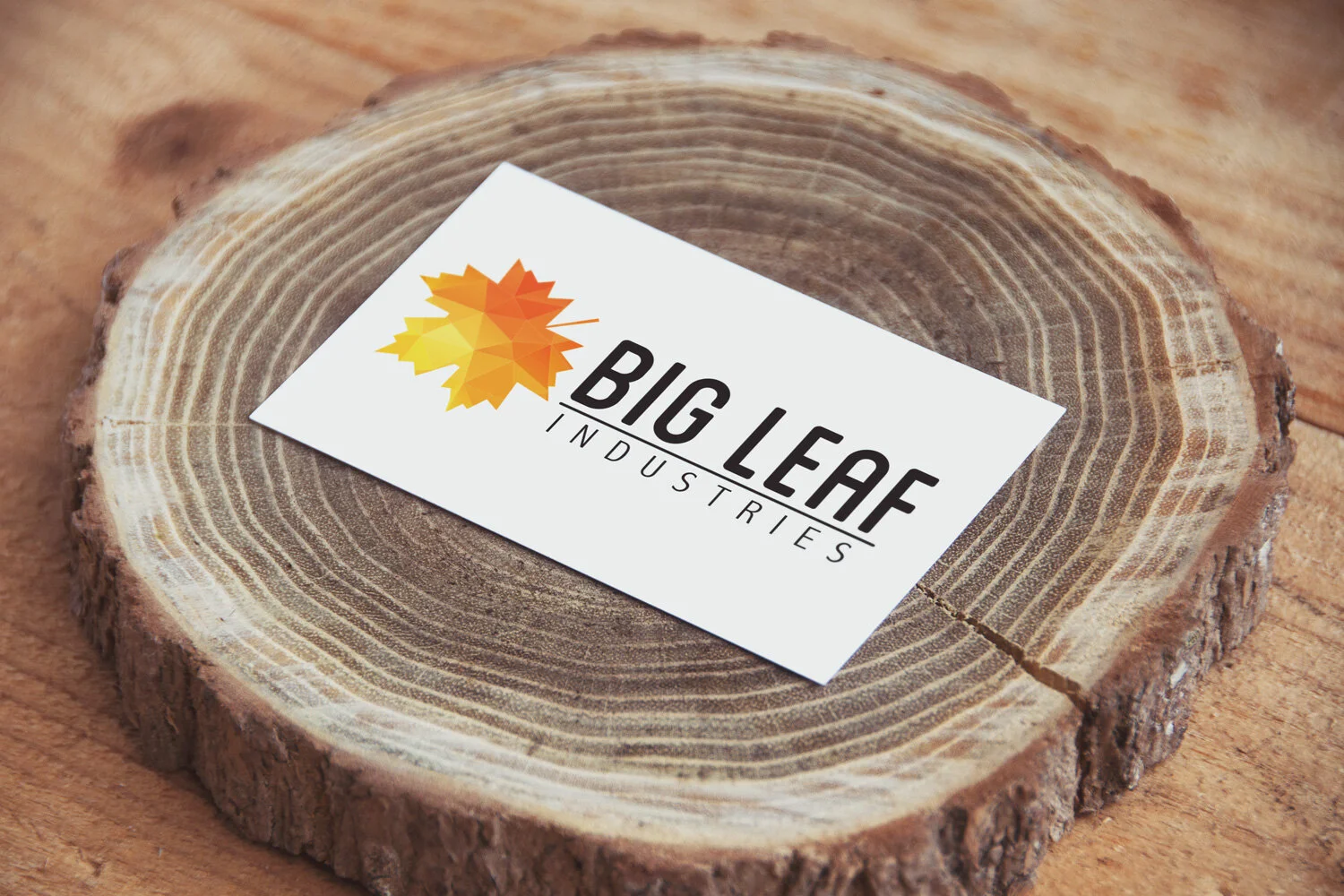 Big-Leaf-Logo-MockUp.jpg