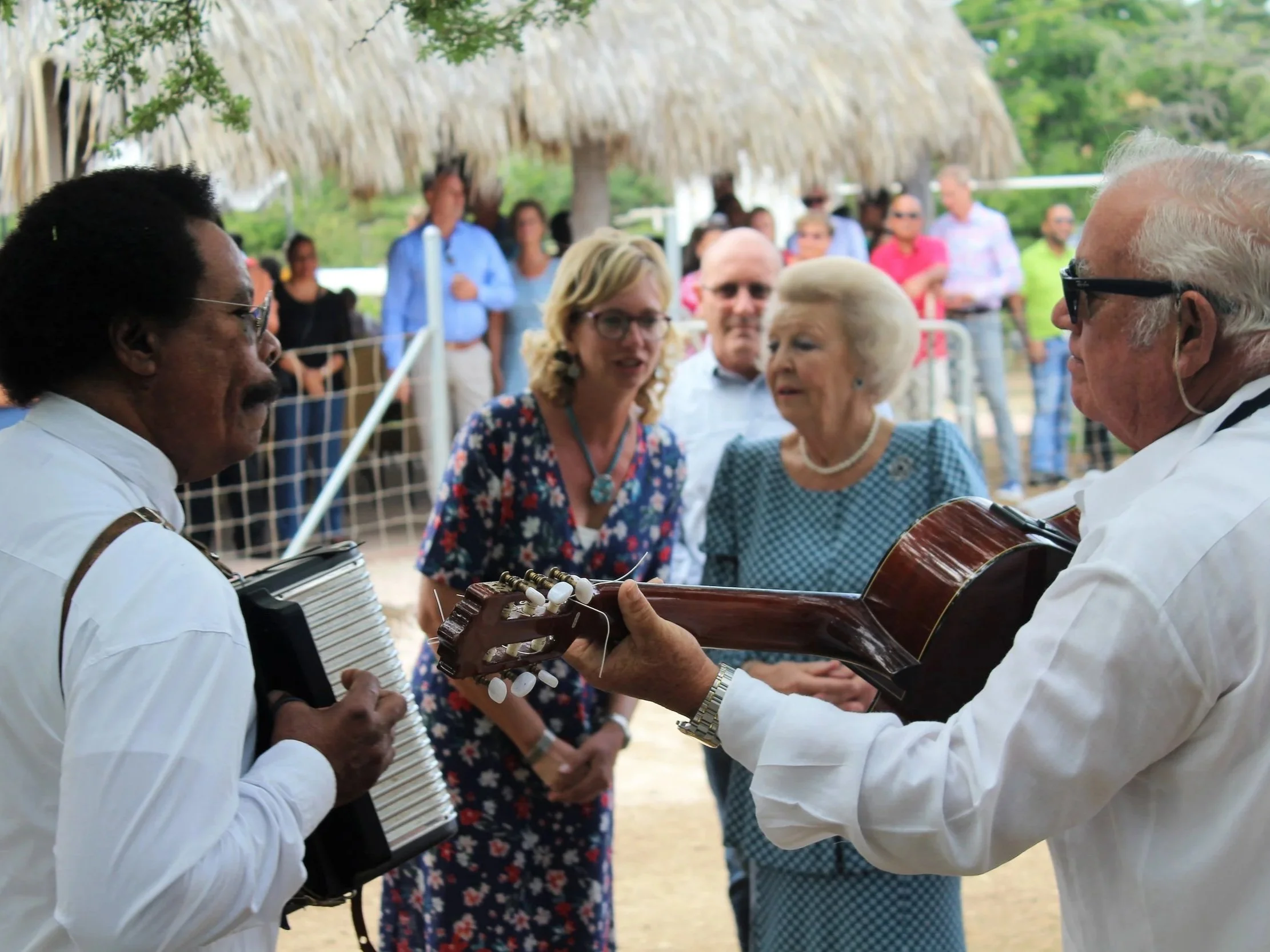 Sinfonia en Mondharmonika les door Franklin Scherptong