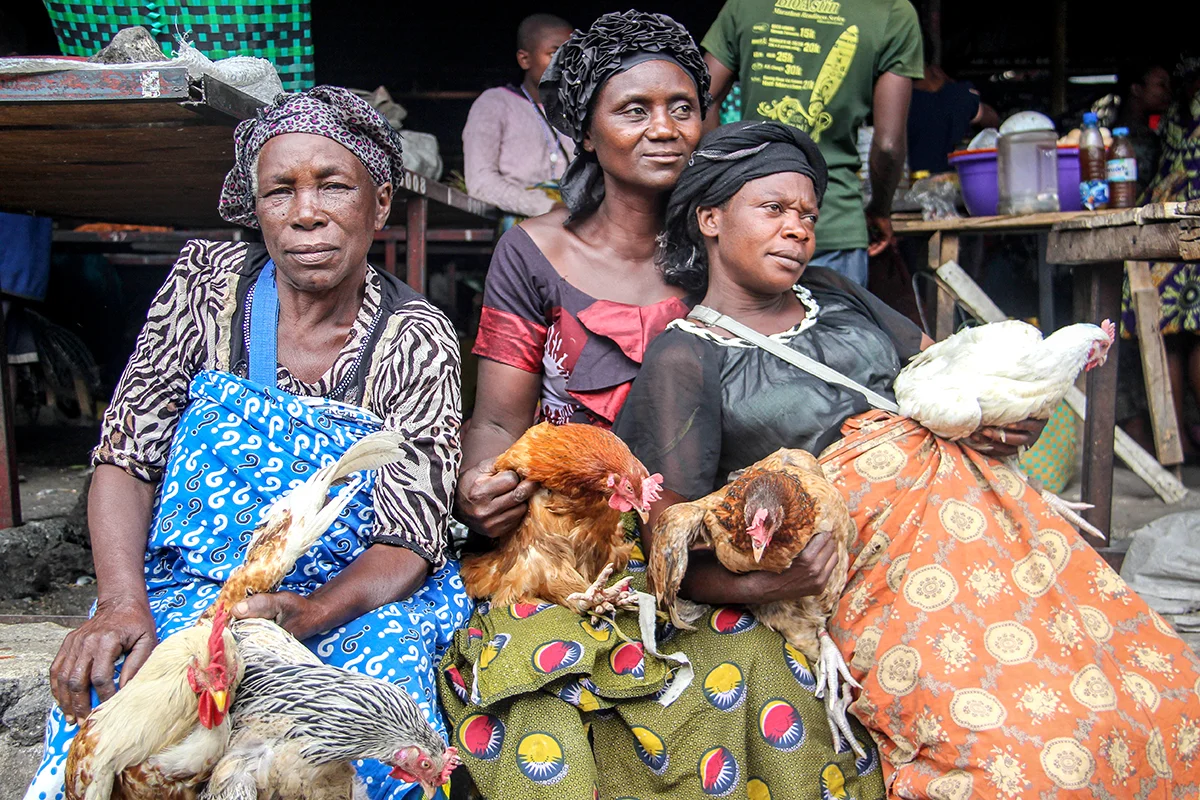 GPJNEWS-DRC-EN-GRIPPE-1-3_web_L.jpg