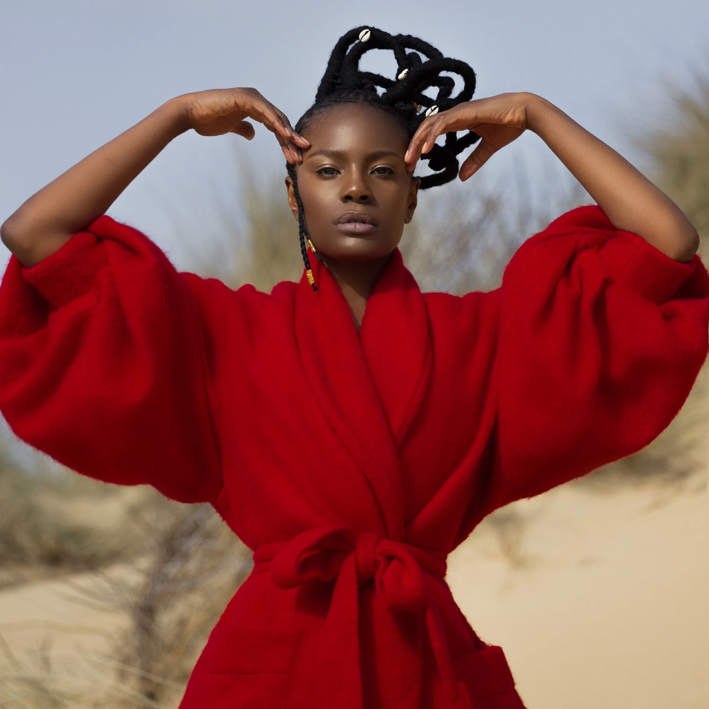 Shingai 2400X2400.jpg