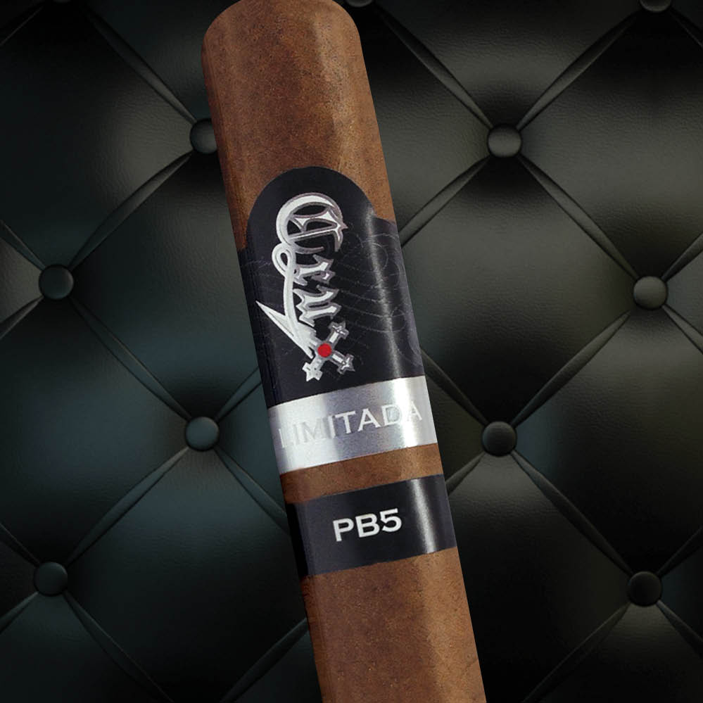 Limitada PB5 SM Panel_5.jpg