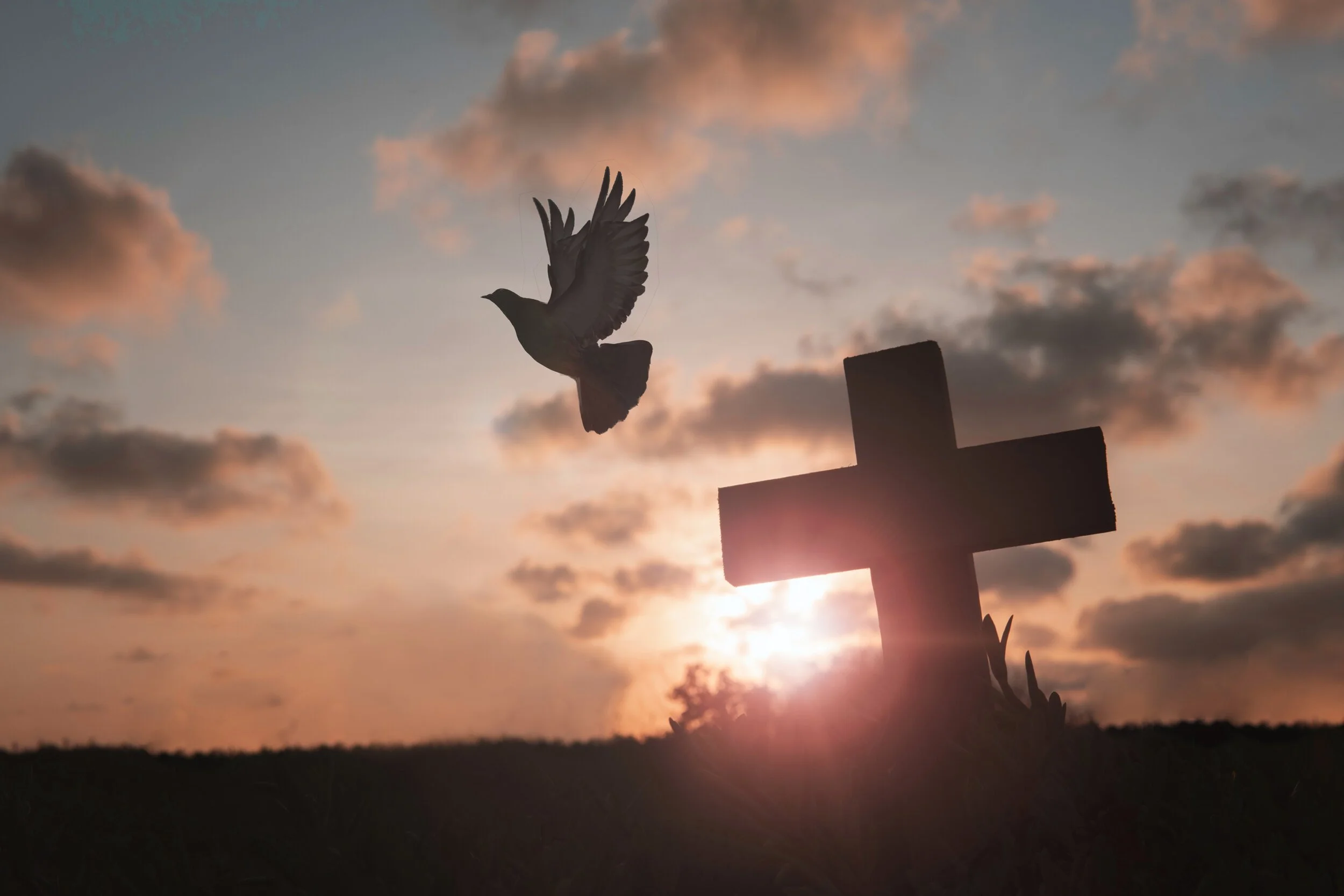 Marilyn J. Bennett Switzer