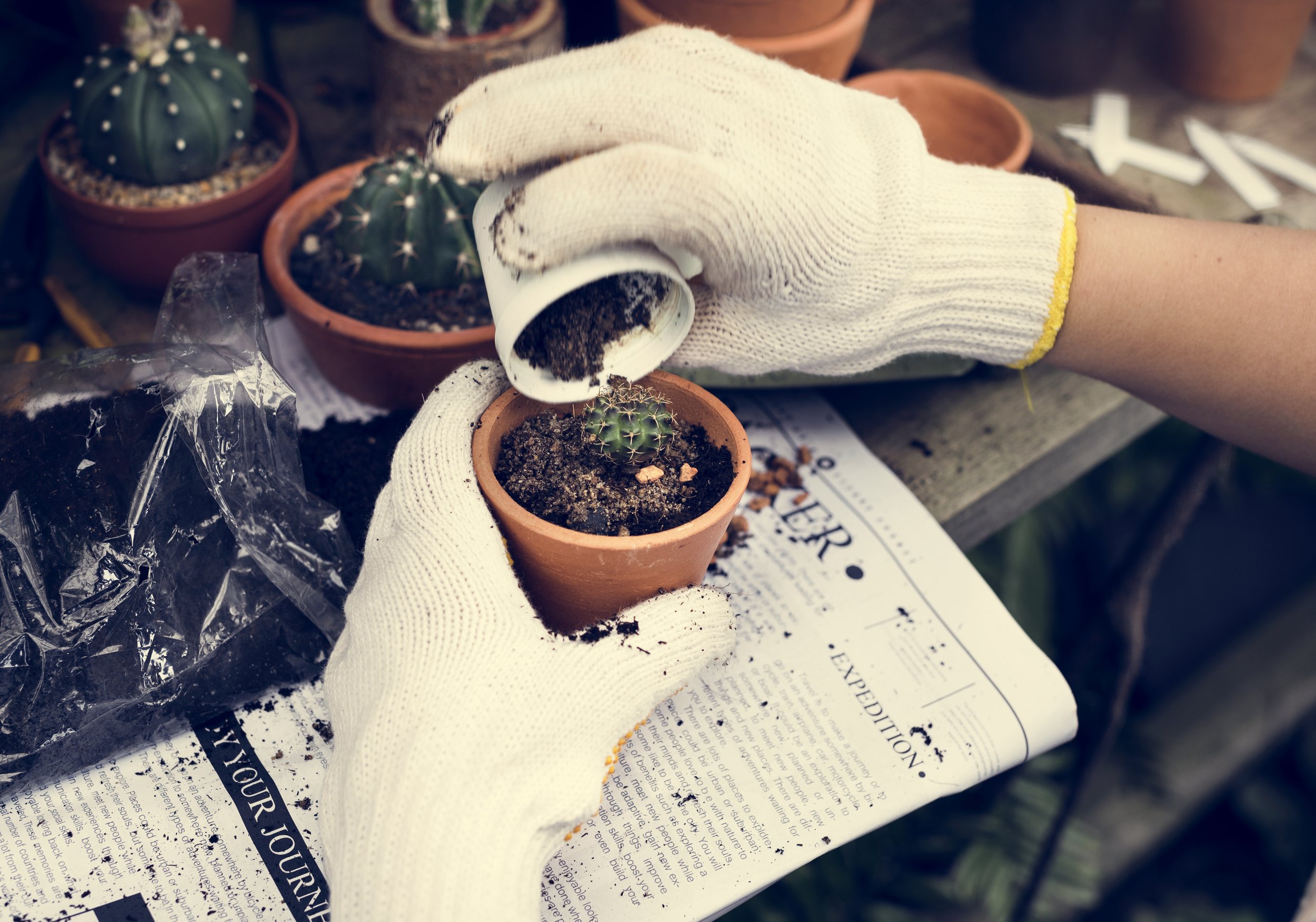 woman-gardening-PCFTX4G.jpg