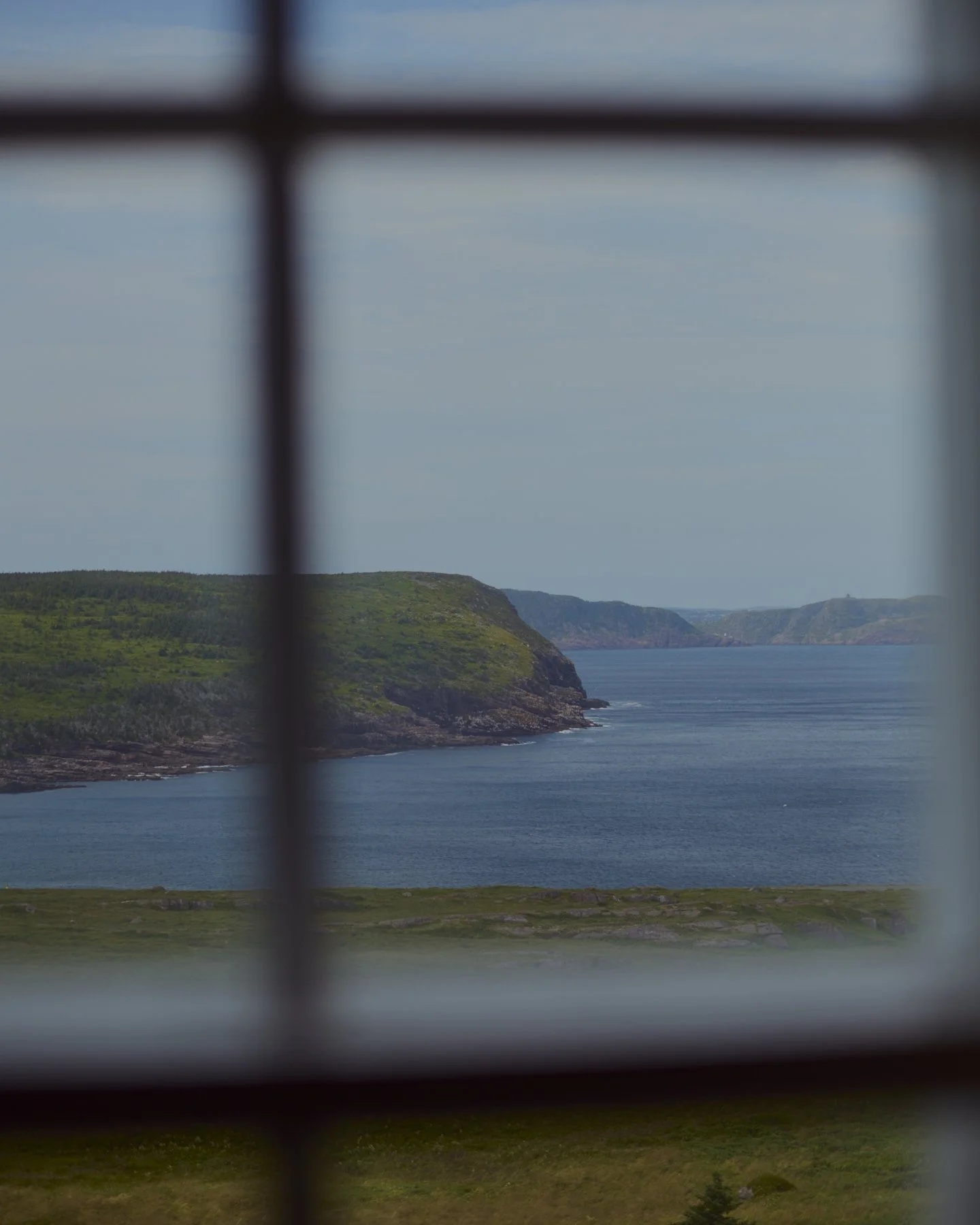 / newfoundland