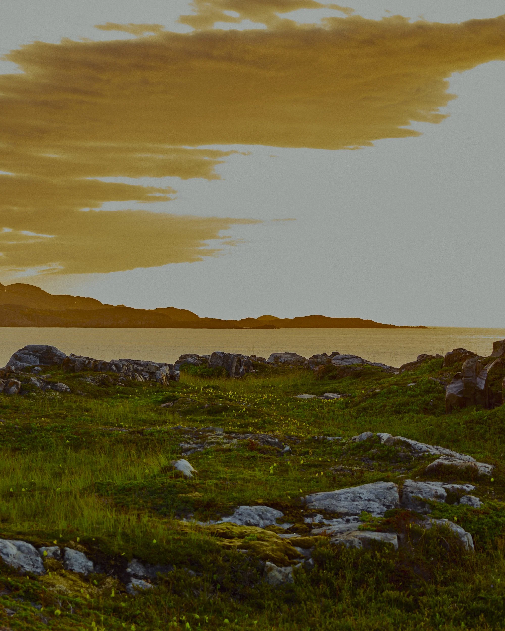 / fogo island