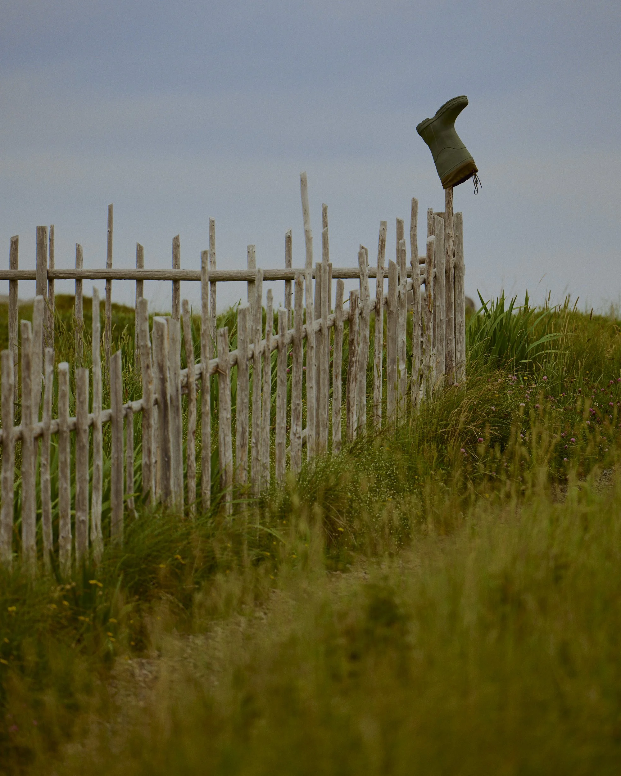 / fogo island